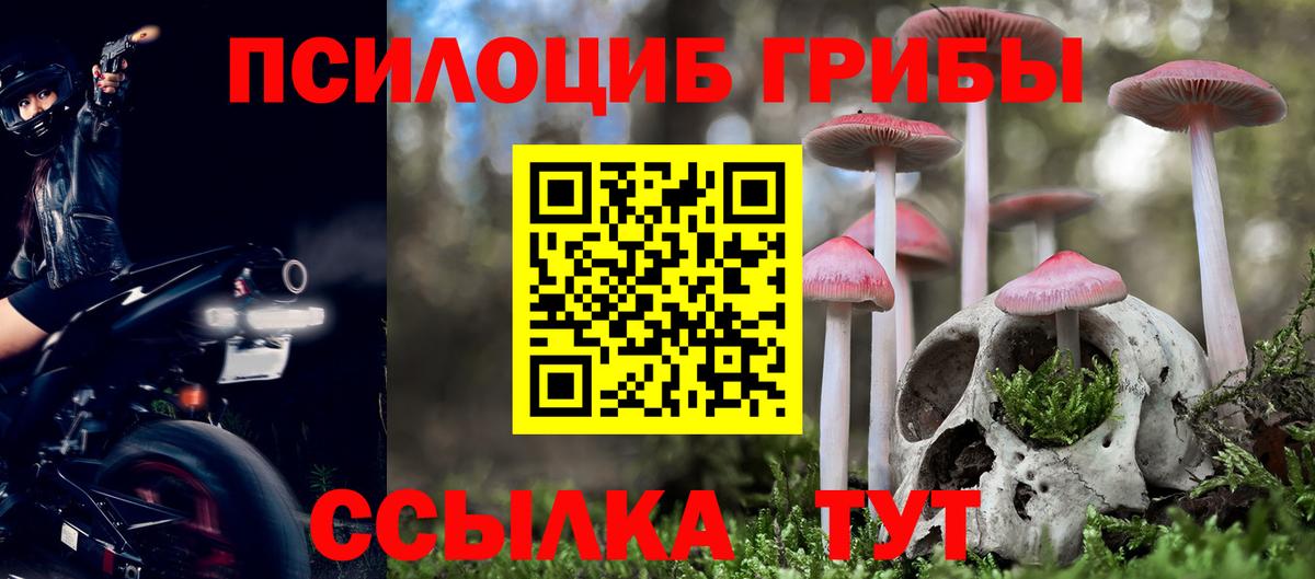Галлюциногенные грибы ЛСД  Псилоцибиновые грибы Cubensis  Вход с VPN  Аргун 