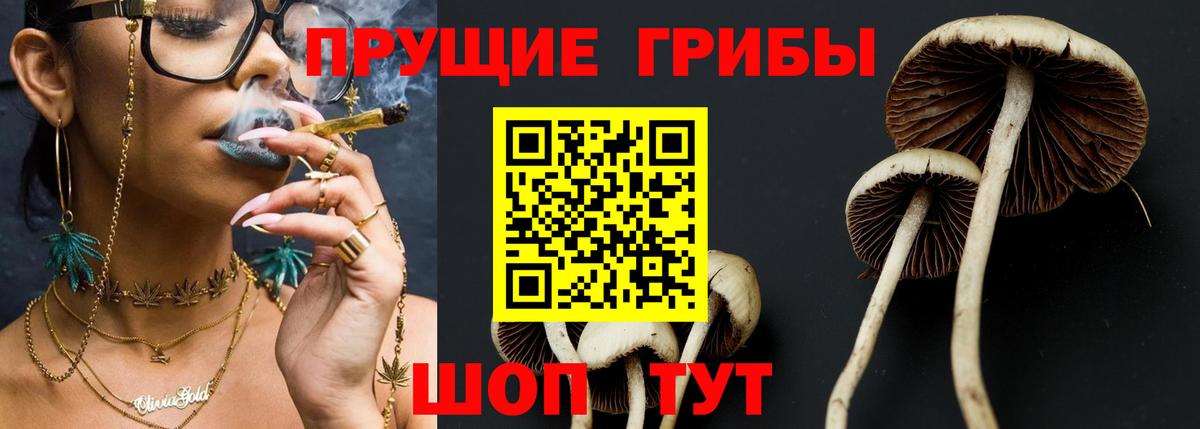 Псилоцибиновые грибы Magic Shrooms Аргун